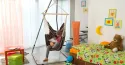 Comprar Soporte para silla hamaca LUNA RS - Amazonas en Hamacamani...